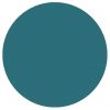 Turquoise-circle-with-no-outline