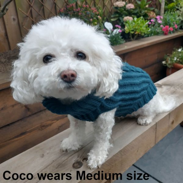 Coco the dog wearing the Dog A La Mode cable knitted, stretchy fit and sleeveless tuurquoise classic dog jumper in medium size while outdoors sitting down on a bench in the garden looking at the camera