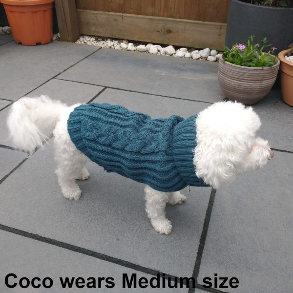 Coco the dog wearing the Dog A La Mode beautiful thick cable knitted turquoise classic dog jumper in medium size standing outdoors in garden from the side view