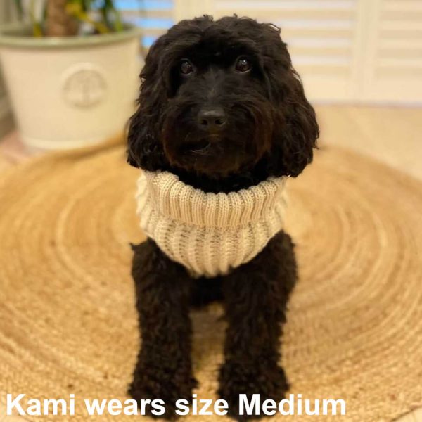 Kami the dog wearing the Dog A La Mode beige cable knitted stretchy fit classic dog jumper in medium size sitting down in the lounge looking at the camera