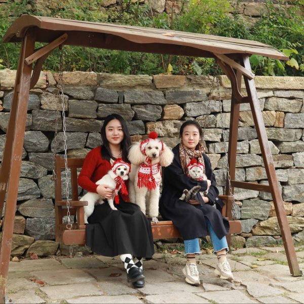 Cute dogs wearing the new Dog A La Mode Christmas hat and scarf with their dog mums while sitting on a bench outdoors