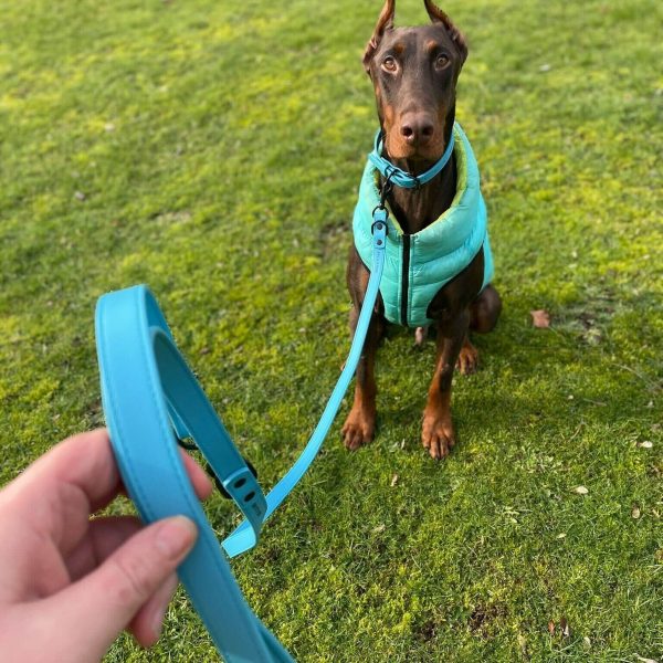 Barney the Doberman wearing the new Dog A La Mode blue vegan dog collar and the water resistant dog puffer jacket with his owner holding the blue vegan dog lead while Barney is sitting outdoors in the park