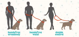 Dog A La Mode blue vegan dog lead wearing guide showing three main ways to wear the double ended hands free dog lead