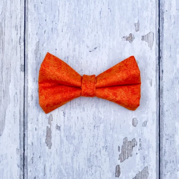 Dog A La Mode orange dog bow tie