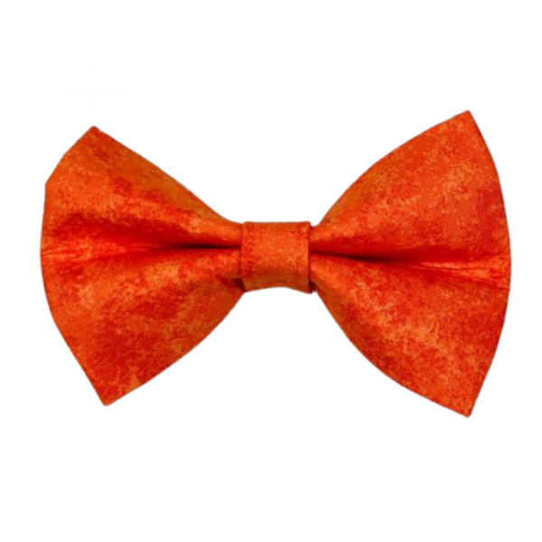 Dog A La Mode orange dog bow tie available in 3 sizes for all dogs